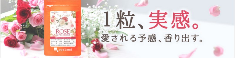 �T�v�����X�I�[�K�����h���T�C�g